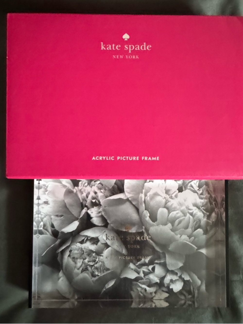 kate spade Black and White striped Acrylic Frame